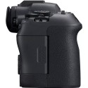 EOS-R6 Mark II + 24-105 mmF4-7,1 IS STM Canon
