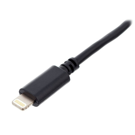 Cordon Lightning vers Mini-DIN - 60cm Cordon de connexio