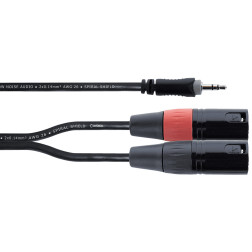 Mini-Jack stereo - 2 XLR3 males - 3m CORDIAL