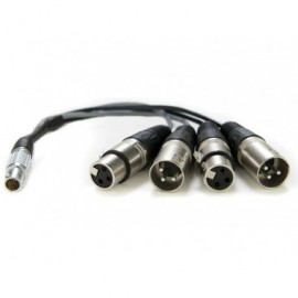 Cable XLR Breakout Atomos