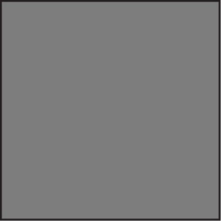 SYSTEME 100 Filtre ND 0.6 standard 100x100mm Un 2mm th