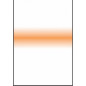 SW150 Filtre Coral Stripe 150X170 mm SW150 Filtre Coral Stripe 150X170 mm
