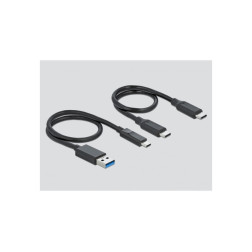 Lecteur de carte USB Type-C pour cartes mémoires CFast e Delock