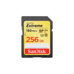 SD Extreme 256Go SanDisk