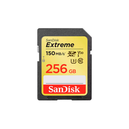 SD Extreme 256Go SD Extreme 256Go SanDisk