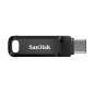 Ultra Dual Drive Go USB Type-C 256Go