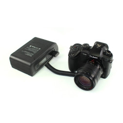 BLF19P-D Batterie factice type Panasonic DMW-BLF19 alim DTap Lanparte