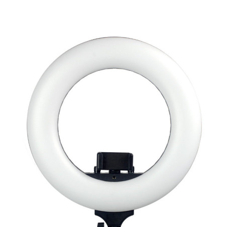 Round Vlogger 12-inch LED Set with Bag - Noir Découvrez Caruba