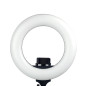 Round Vlogger 12-inch LED Set with Bag - Noir