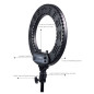 Round Vlogger 12-inch LED Set with Bag - Noir