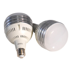 Bulb 60W (All-in-1 Light Set (Softbox / LED)) Découvrez Caruba
