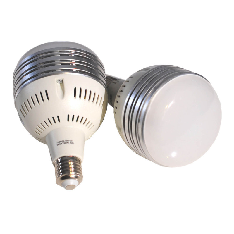 Bulb 60W (All-in-1 Light Set (Softbox / LED))