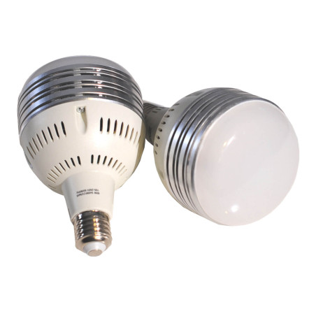 Bulb 60W (All-in-1 Light Set (Softbox / LED)) Découvrez Caruba