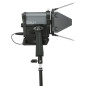 Sola 4+ Daylight Fresnel