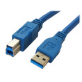 USB 3.0 | A Male - B Male | 5 meter Caruba