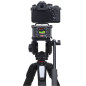 Zoom F6 Enregistreur de terrain