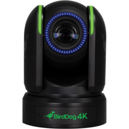 PTZ P4K Full NDI 4K capteur Sony Noire BirdDog