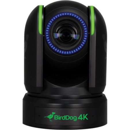 PTZ P4K Full NDI 4K capteur Sony Noire BirdDog