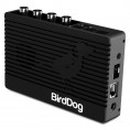 Encodeur/Decodeur 4K HDMI BirdDog