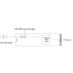 Eco Capture SDI 4K Plus M.2 Magewell
