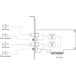 Pro capture dual SDI Magewell