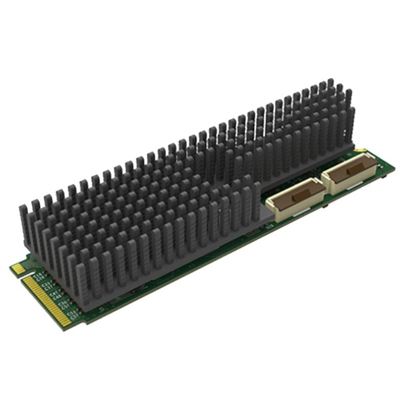 Eco Capture dual HDMI M.2