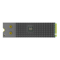 Eco Capture dual SDI M.2 Two-channel 2K capture cardCapt