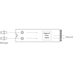 Eco Capture dual SDI M.2 Two-channel 2K capture cardCapt Magewell