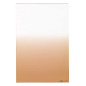 Filter Z125L Gradual Tobacco T2-Light