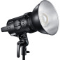 H2400P Flash Head H2400P Flash Head