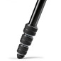 BeFree Live M-Lock + rotule fluide
