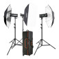 SKII300 Studio Flash Kit 300-D