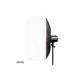 Mini Pioneer 250 Watt Softbox Paraplu Duo Kit Découvrez Godox