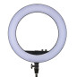 LR160 LED Ring Light Black LR160 LED Ring Light Black