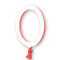 LR120 LED Ring Light Pink LR120 LED Ring Light Pink