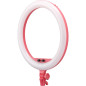 LR150 LED Ring Light Pink LR150 LED Ring Light Pink