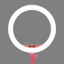 LR150 LED Ring Light Pink Godox