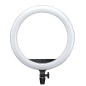LR150 LED Ring Light Black