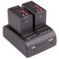 S-3602U Chargeur simultané 2 batteries type Panasonic VW-VBG