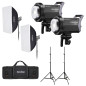 Litemons LA150D Daylight Duo Kit