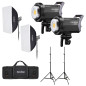 Litemons LA200D Daylight Duo Kit