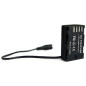 BLF19P-01 Batterie factice type Panasonic DMW-BLF19 alim DC