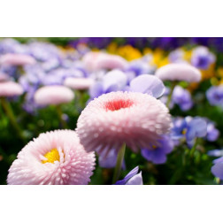 11-20 mm F2.8 Di III-A RXD E Tamron