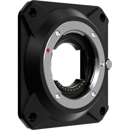 Interchangeable Lens Mount for E2 Flagship Series (MFT M Z-Cam