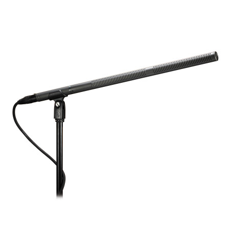 Line + Gradient Condenser Microphone Line + Gradient Con Audiotechnica