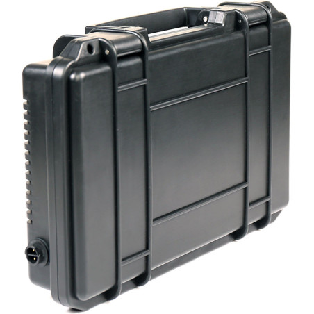 AL-MC 4-Light kit de voyage 4 torches MC Aputure AL-MC 4