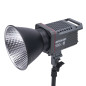 Amaran 100x S - Amaran 100x S LED Bi-color 
