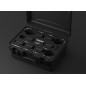 Vespid hard Case 10 Vespid hard Case 10