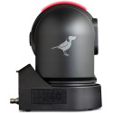 P240 PTZ Full NDI Noire, HDMI/3G-SDI 40X  BirdDog