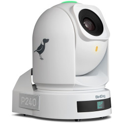 Full NDI PTZ P240 Blanche camera with HDMI/3G-SDI 40X  BirdDog